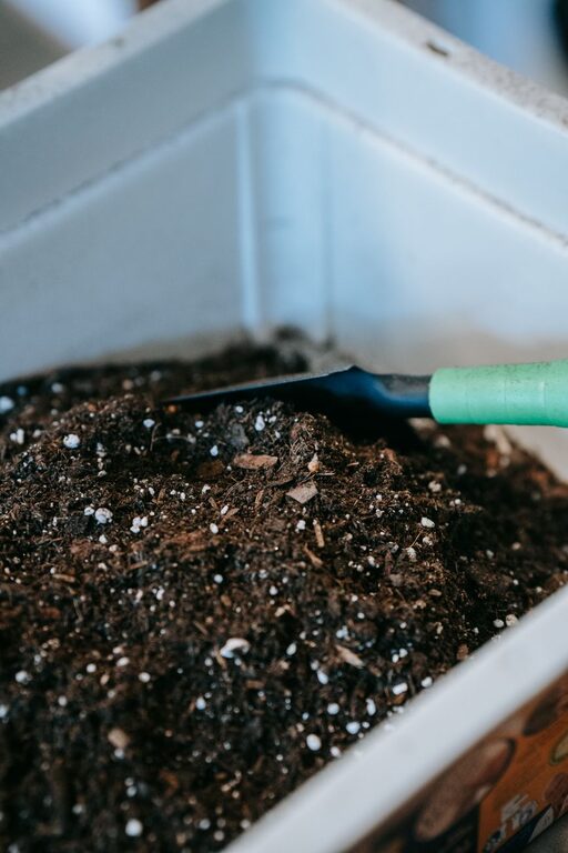 Consigli per principianti sul compostaggio domestico